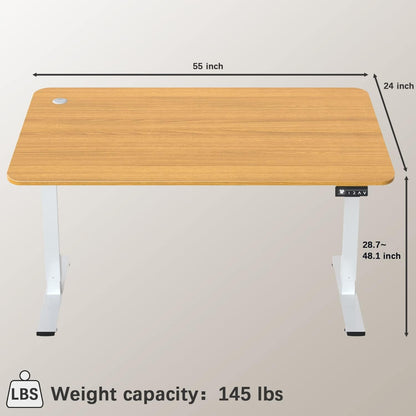 55” x 24” Electric Standing Desk | Height Adjustable with Dual Motor, Q&A Support, Anti-Collision